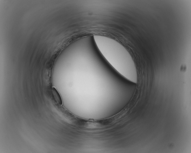 X0000112520605200908171114