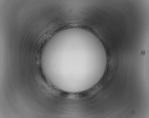 X0000112520606200908171114