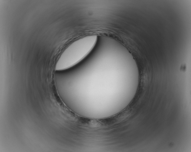 X0000112520608200908171114