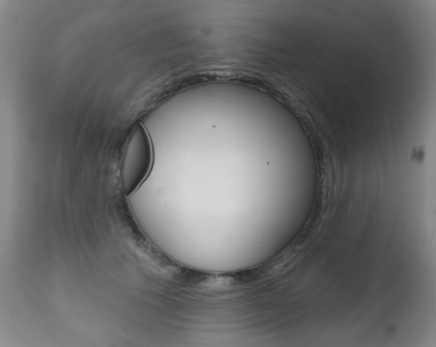 X0000112520609200908171114