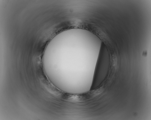 X0000112520611200908171114