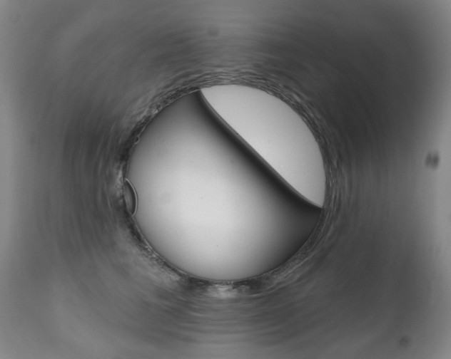 X0000112520613200908171114
