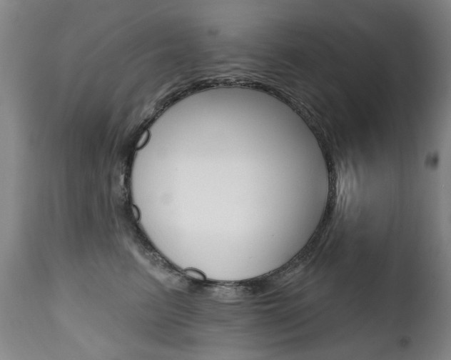 X0000112520615200908171114