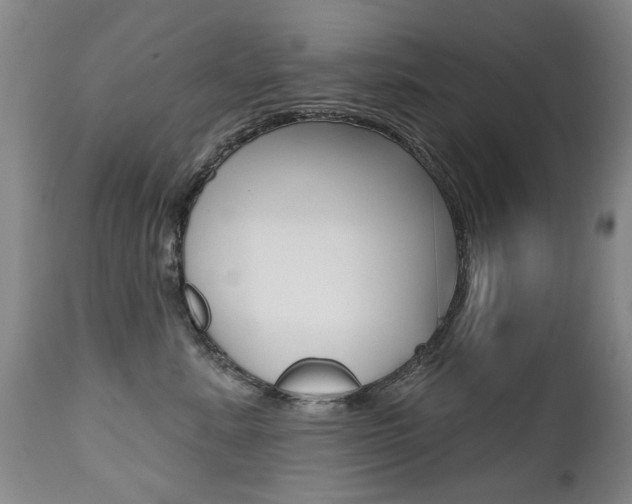 X0000112520619200908171114