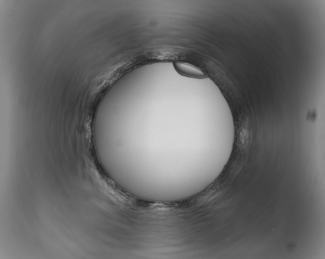 X0000112520620200908171114