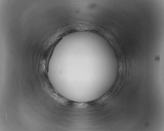 X0000112520621200908171114