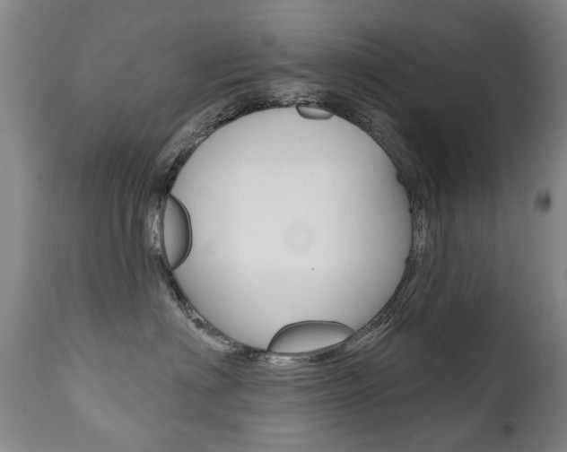 X0000112520622200908171114
