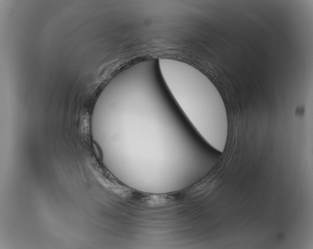 X0000112520623200908171114