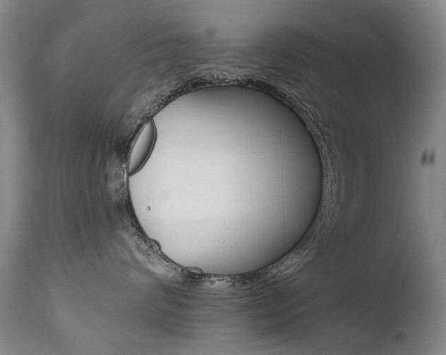 X0000112520624200908171114