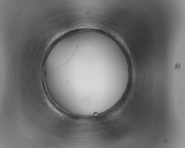 X0000112520625200908171113