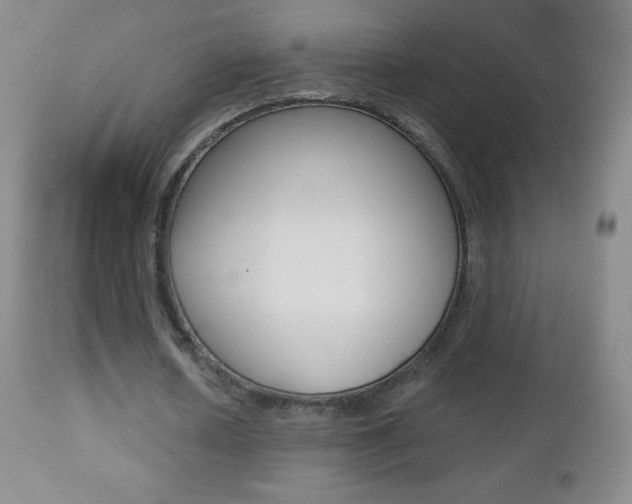 X0000112520626200908171113