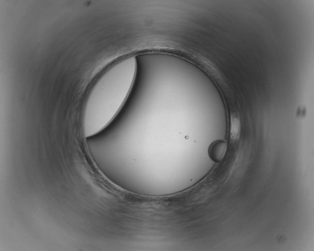 X0000112520627200908171113