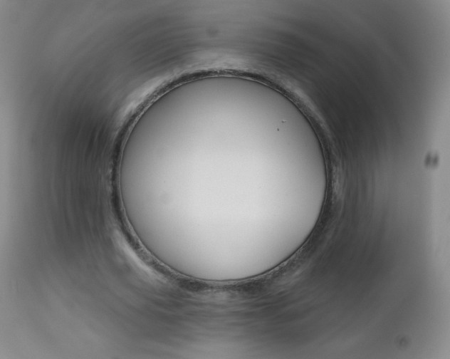 X0000112520629200908171113