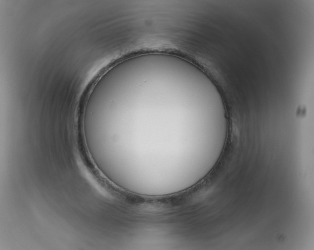 X0000112520630200908171113