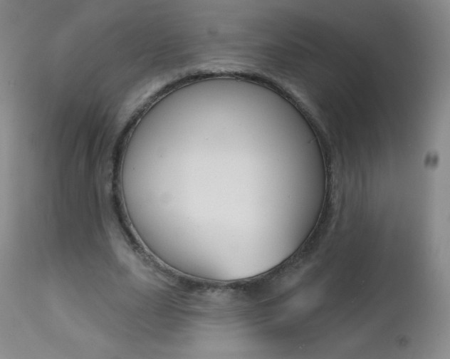 X0000112520631200908171113