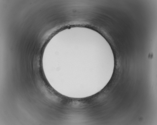 X0000112520632200908171113