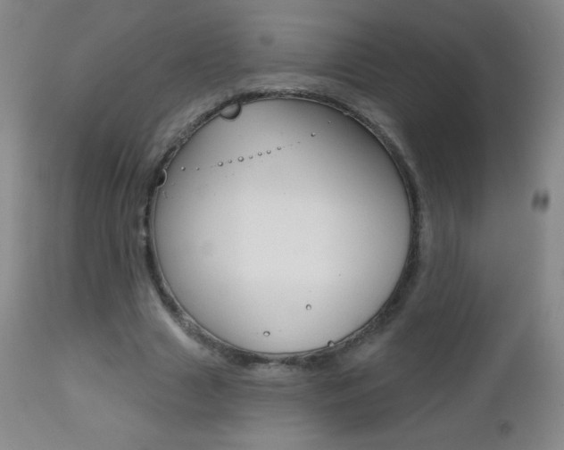 X0000112520633200908171113