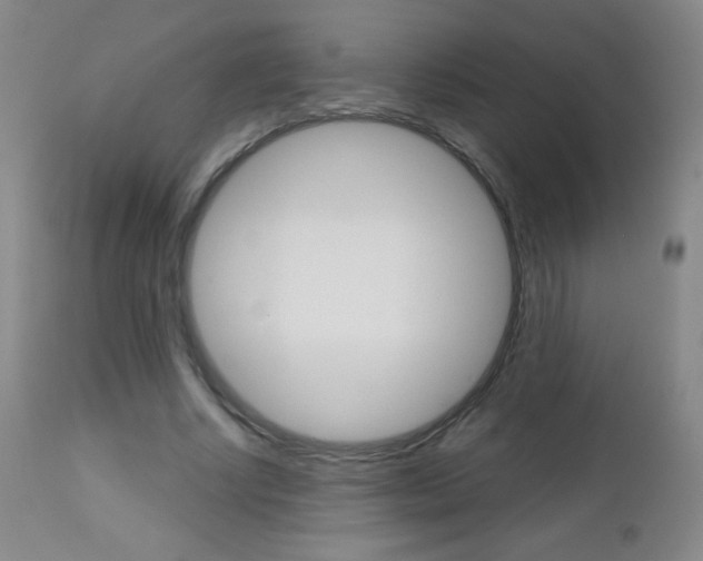 X0000112520634200908171113