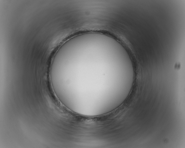 X0000112520635200908171113