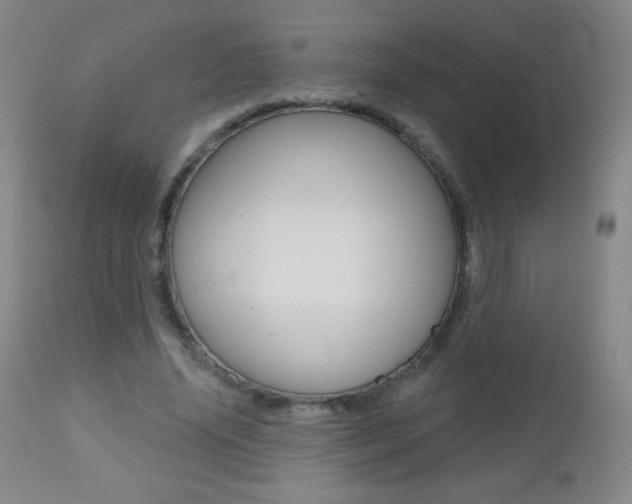 X0000112520636200908171113