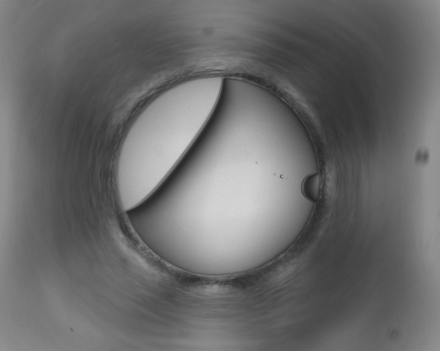 X0000112520637200908171113