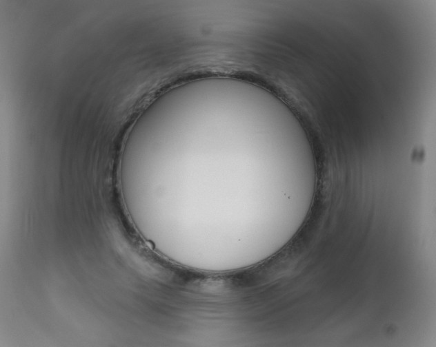X0000112520639200908171113