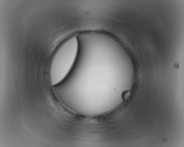 X0000112520640200908171113