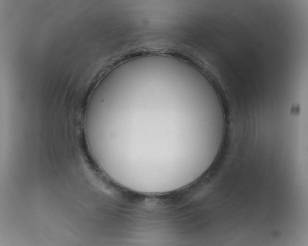 X0000112520641200908171113