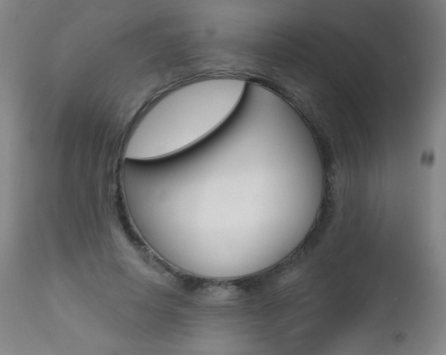 X0000112520642200908171113