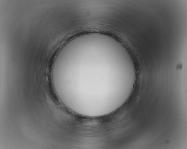 X0000112520643200908171113