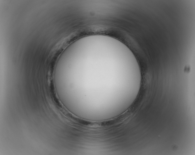 X0000112520644200908171113