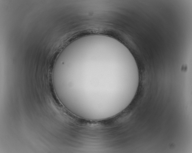 X0000112520645200908171113
