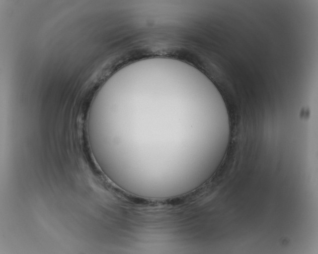 X0000112520646200908171113