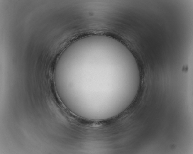 X0000112520647200908171113