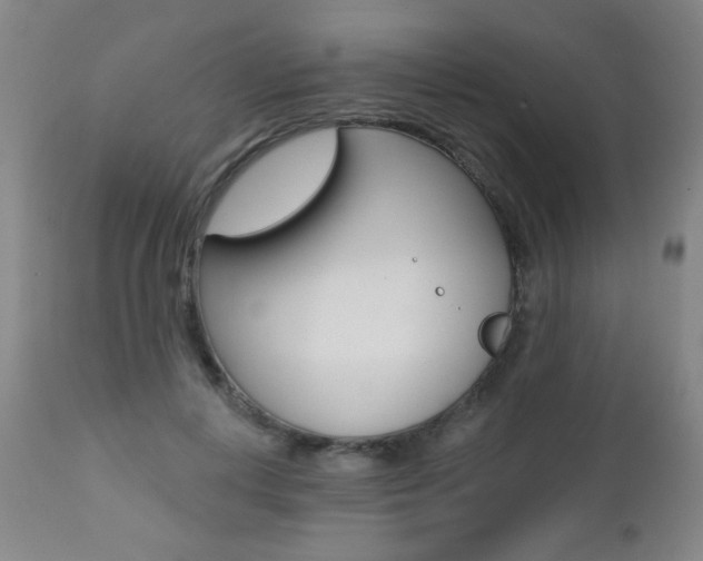 X0000112520648200908171113