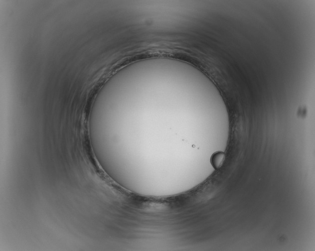 X0000112520649200908171113