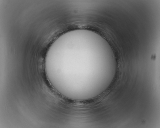 X0000112520650200908171113