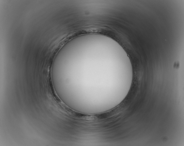 X0000112520652200908171113