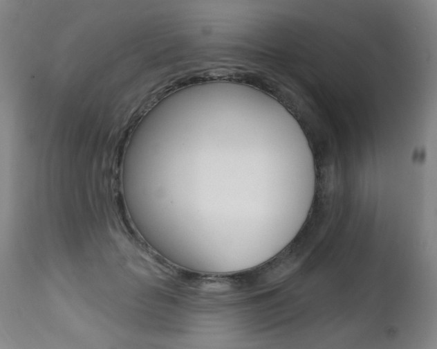 X0000112520653200908171113