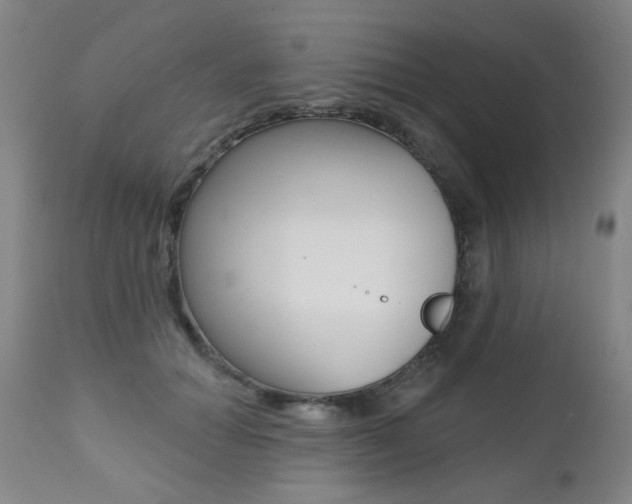 X0000112520654200908171113