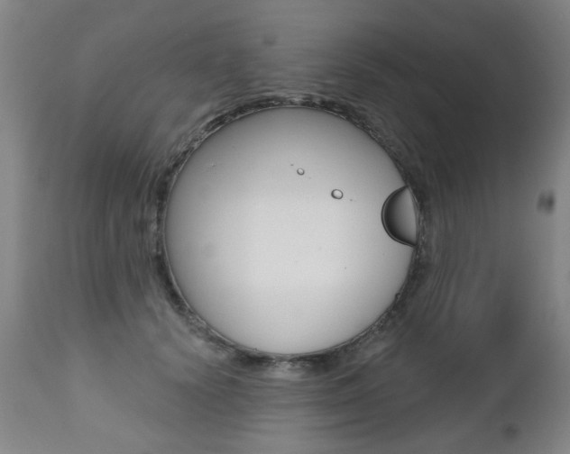 X0000112520656200908171114