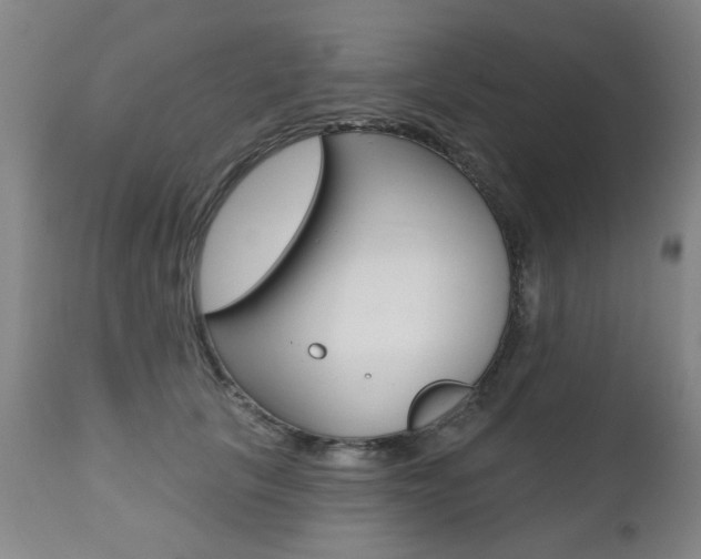 X0000112520657200908171114