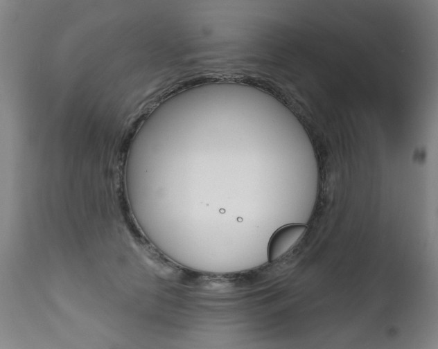 X0000112520658200908171114