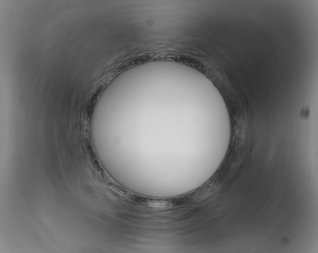 X0000112520659200908171114