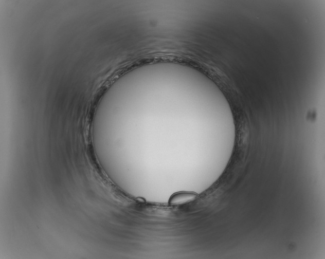 X0000112520661200908171114
