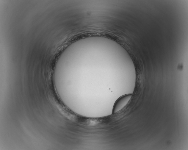 X0000112520662200908171114