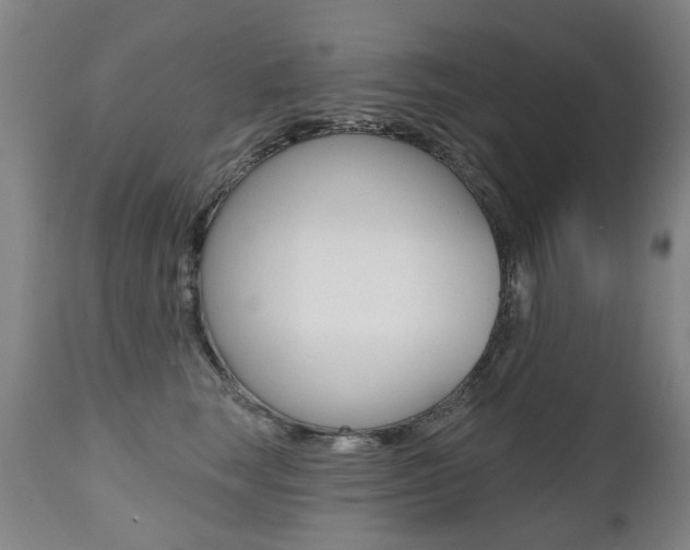 X0000112520663200908171114