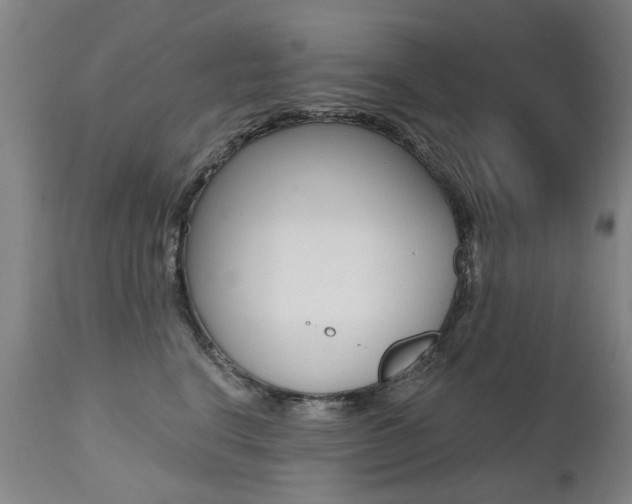 X0000112520664200908171114