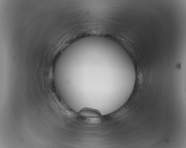 X0000112520665200908171114