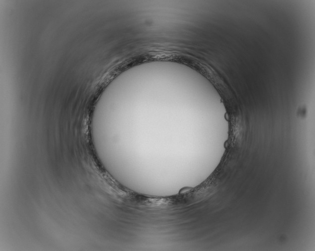 X0000112520667200908171114
